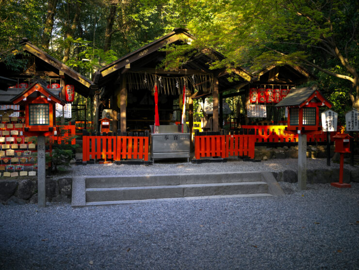 Arashiyamas Enchanting Bamboo Path in Kyoto