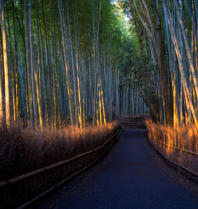 Serene Bamboo Pathway in Arashiyama, Kyoto, Japan