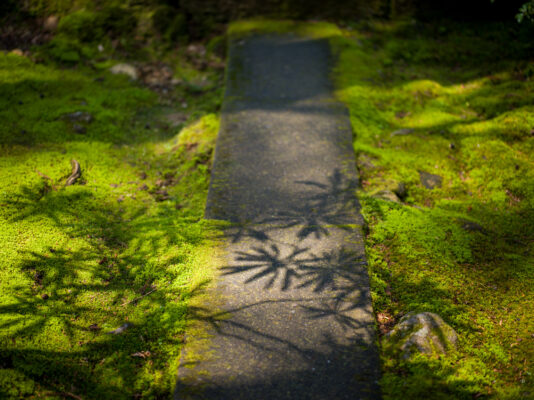 Tranquil Natadera Temple: Japanese Zen Garden Serenity