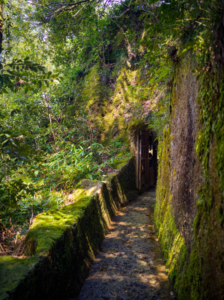 Tranquil Forest Path at Natadera Temple, Japan