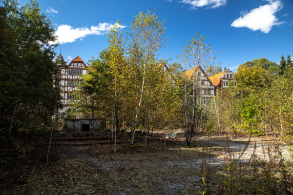 Enchanting forest village in Gluck Kingdom, with lush greenery, quaint buildings, and a serene pond.