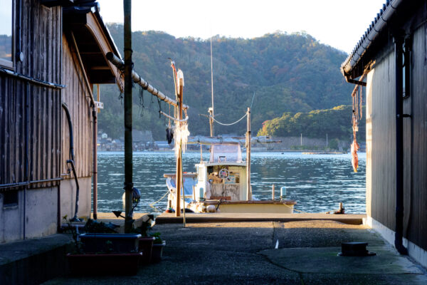 Ines Iconic Waterfront Boat Houses: A Maritime Heritage.