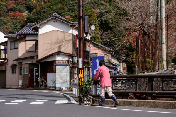 Charming boat houses in Ine, Japan with man walking down street among autumn foliage.