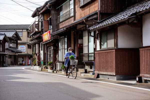 Charming boat houses in historic Ine, Japan - showcasing traditional Japanese design and heritage.