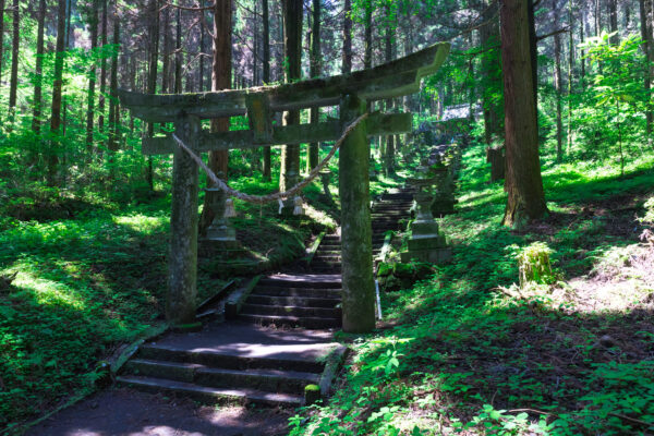 Serene Shinto Forest Shrine Sanctuary