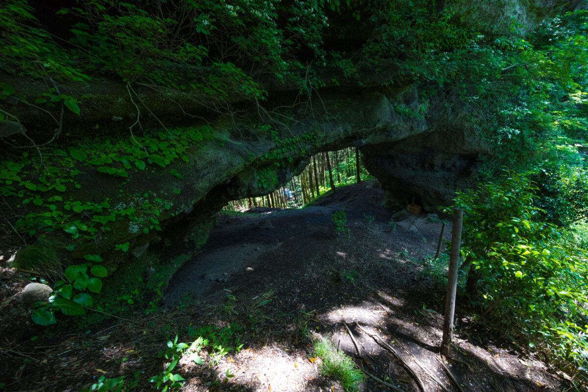 Serene Shinto power spot amidst ancient forest