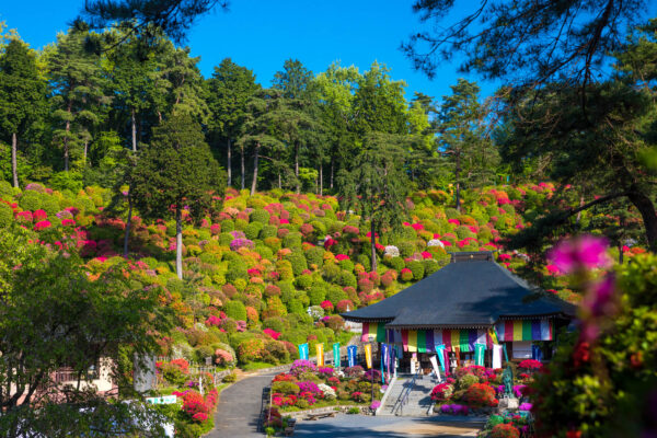 Tranquil Japanese temple surrounded by lush greenery, vibrant flowers, and winding paths.