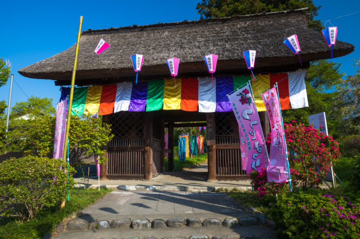 Historic Thatched-Roof Japanese Temple Garden Oasis