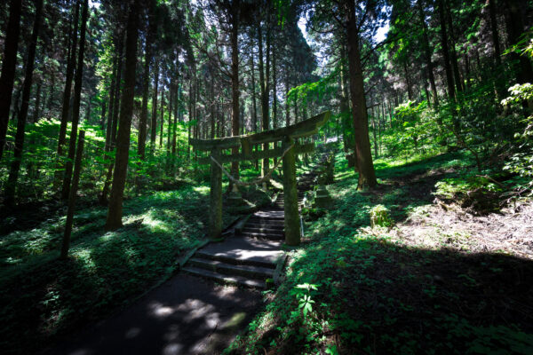 Serene forest path to Kamishikimi Kumanoimasu Shinto shrine