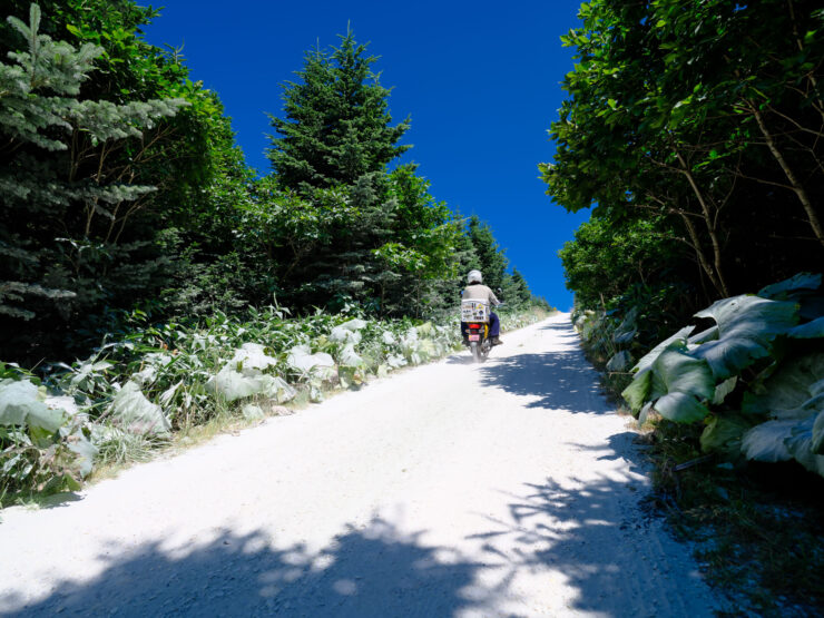 Scenic hiking trail in Soya Hills nature reserve