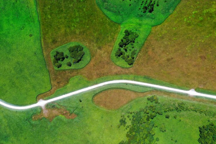 Scenic Winding Road Through Lush Green Rolling Hills