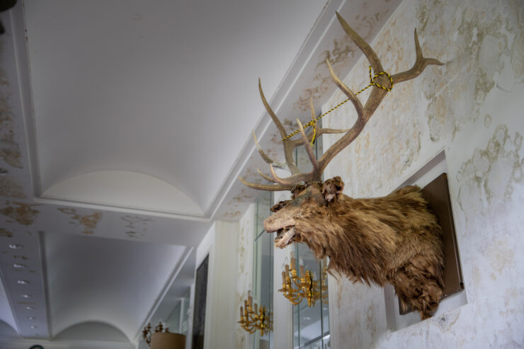 Elegant Historic Estate Interior, Mounted Antler Display