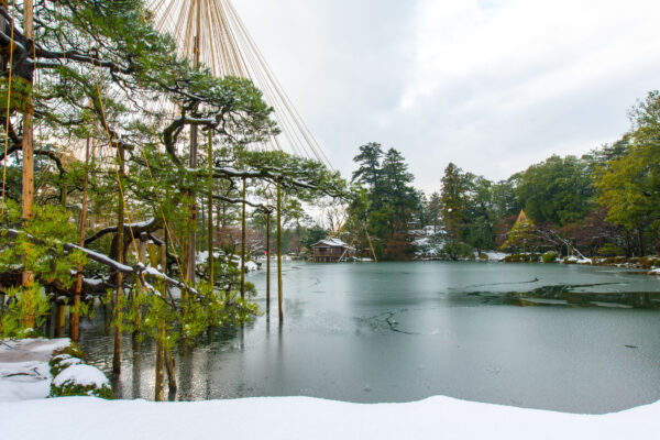 Tranquil Japanese Garden in Kanazawa, Cultural Beauty Immersed in Nature.