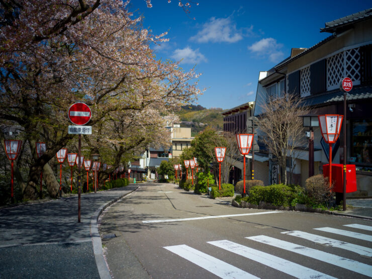 Tranquil Cherry Blossom Garden in Kanazawa, Japan with vibrant red lanterns and well-maintained walkways.