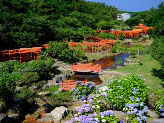 Tranquil Takayama Inari Shrine: Serene sanctuary with vibrant torii gates, wooden bridges, and blooming hydrangeas.