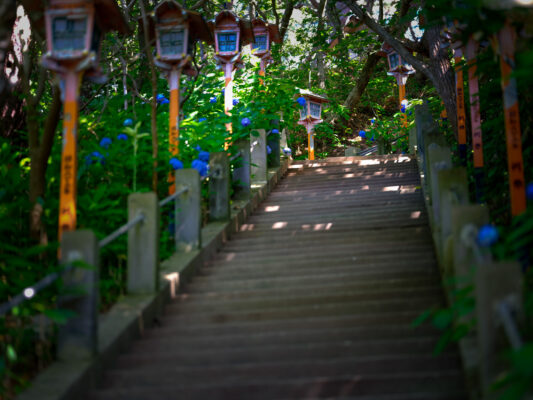 Serene Takayama Inari Shrine forest trail with torii gates