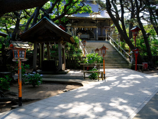 Tranquil Japanese shrine amidst verdant woodland scenery.