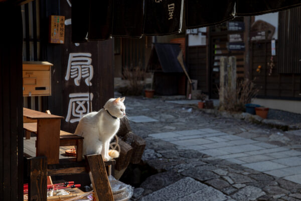 Timeless Magome-juku: Charming Japanese Post Town Street