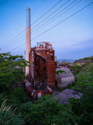 Abandoned factory reclaimed by natures lush greenery.