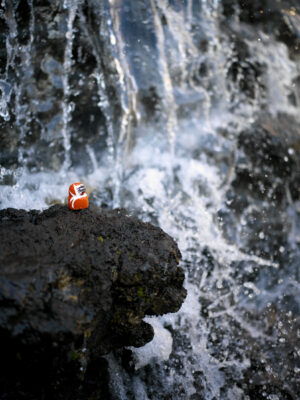 Clownfish Amid Waterfall Cascade Nature Marvel