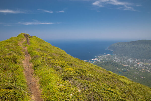 Lush coastal ridge trail overlooking serene ocean.