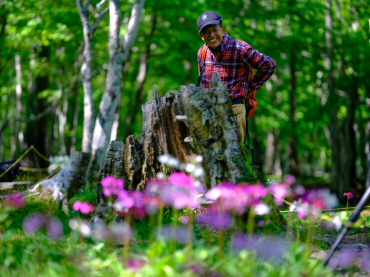 Tranquil forest hike: Casual explorer admires natures serenity.