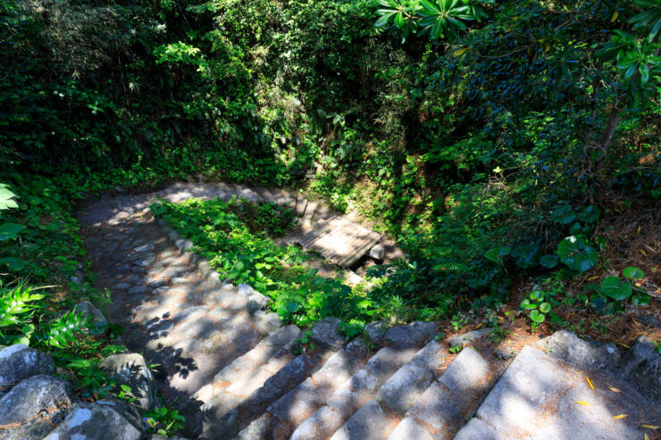 Enchanting Shikinejima forest trail through lush greenery