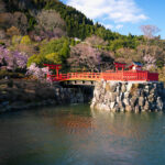 Tranquil Japanese Garden Bridge