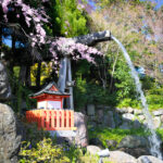 Serene Japanese garden oasis