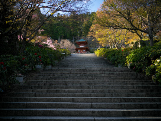 Autumn Foliage Japanese Temple Garden Scenery