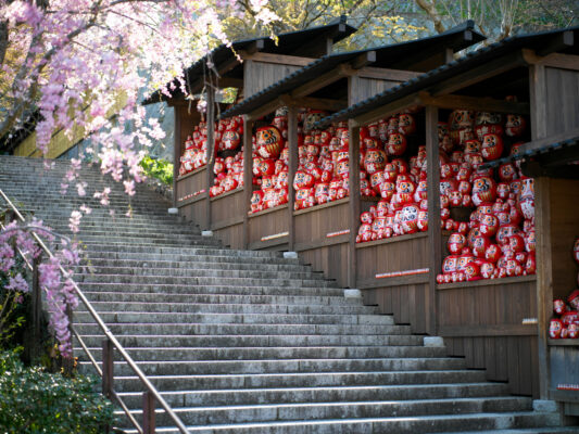 Traditional Japanese temple entrance, cherry blossoms, red lanterns.