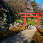 Tranquil Japanese Garden Oasis