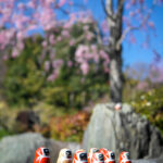 Vibrant orange Kewpie figurines on natural stone backdrop.