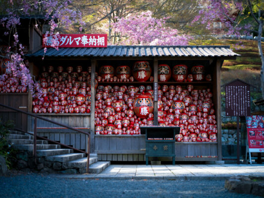 Lantern-filled Japanese garden pavilion amidst cherry blossoms.