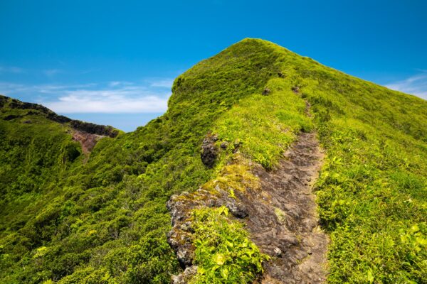 Lush grassy volcanic cone, Hachijo-Fuji Island, Tokyo