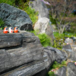 Vibrant trail markers on mossy rocks