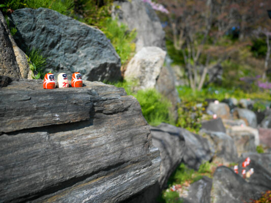 Vibrant trail markers on mossy rocks