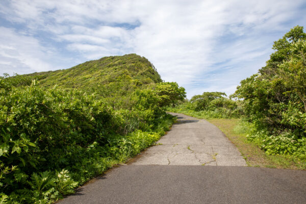 Scenic nature trail Hachijojima lush landscape