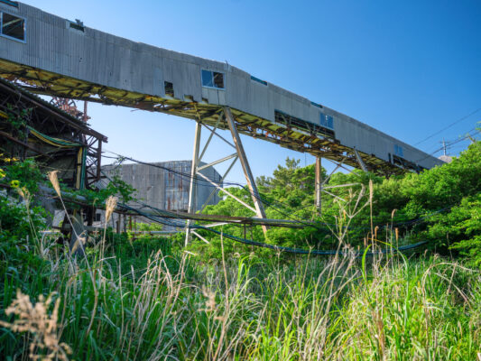 Abandoned factory overtaken by natures resilience.