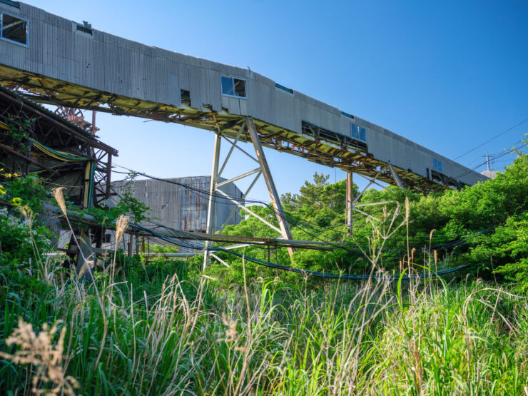 Abandoned factory overtaken by natures resilience.