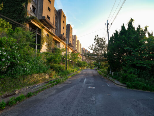 Idyllic sunset urban neighborhood with lush greenery.