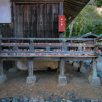 Japanese Forest Shrine with Red Bottles