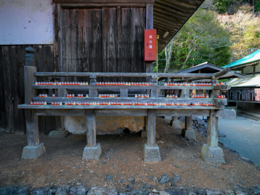 Japanese Forest Shrine with Red Bottles