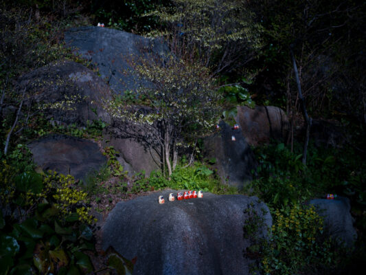 Mystical moss-covered boulders in twilight forest.