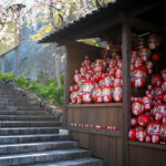 Serene Japanese temple entrance, red Daruma dolls, cherry blossoms.