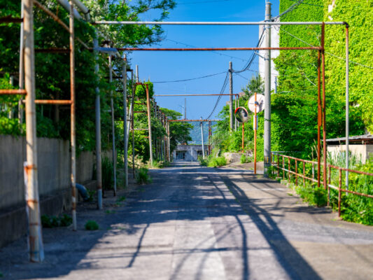 Peaceful Greenery-Lined Urban Walkway with Utility Cables