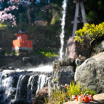 Serene Japanese garden waterfall landscape