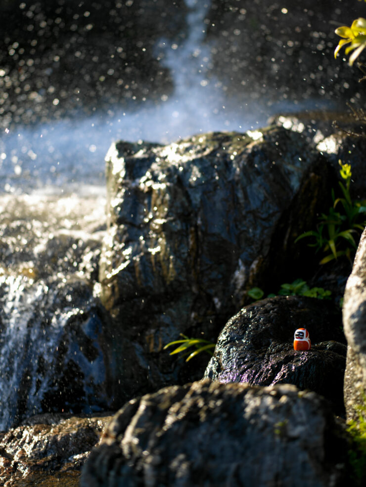 Tranquil forest waterfall, mossy rocks, red flower