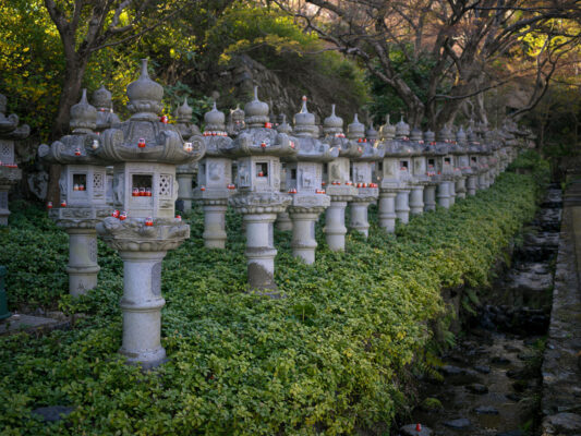 Tranquil Japanese garden stone lantern trail