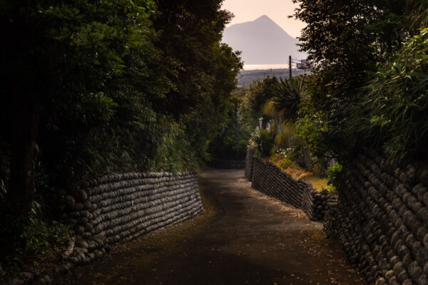 Tranquil mountain trail winding through verdant forest.